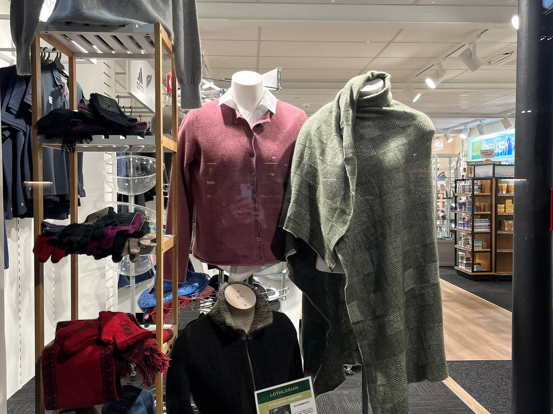 DF纪念品店-皇后镇必去景点