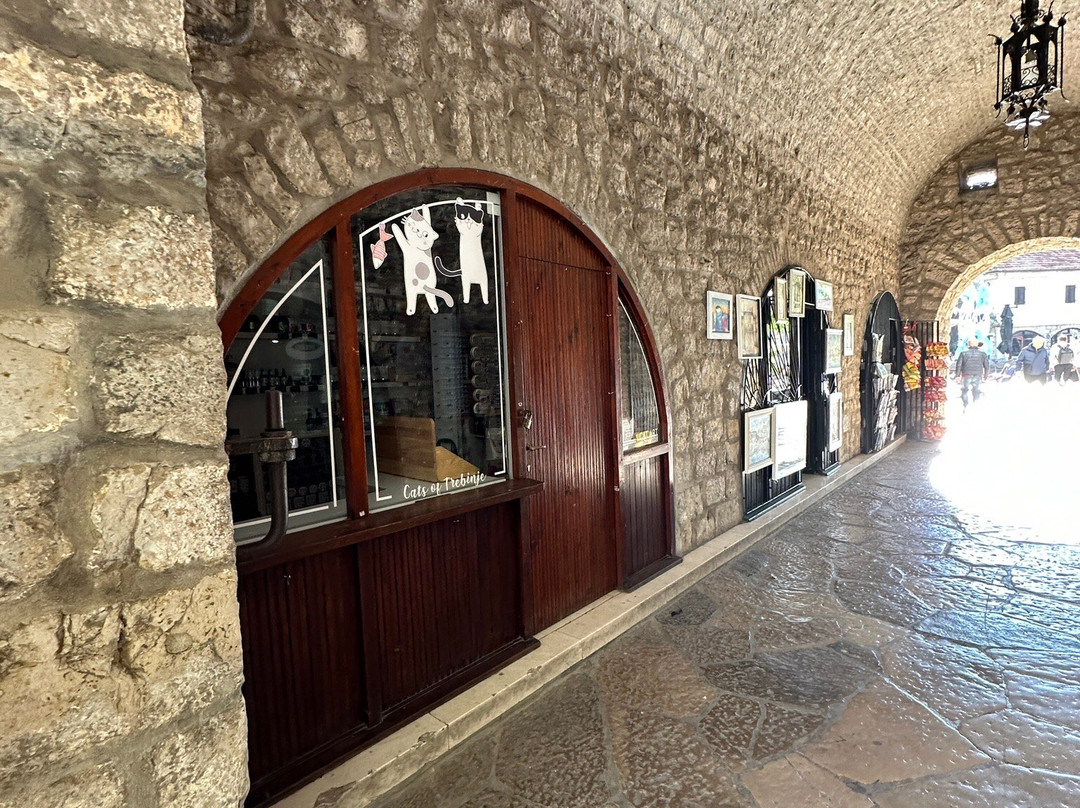 Gates-Tunnel-特雷比涅必去景点