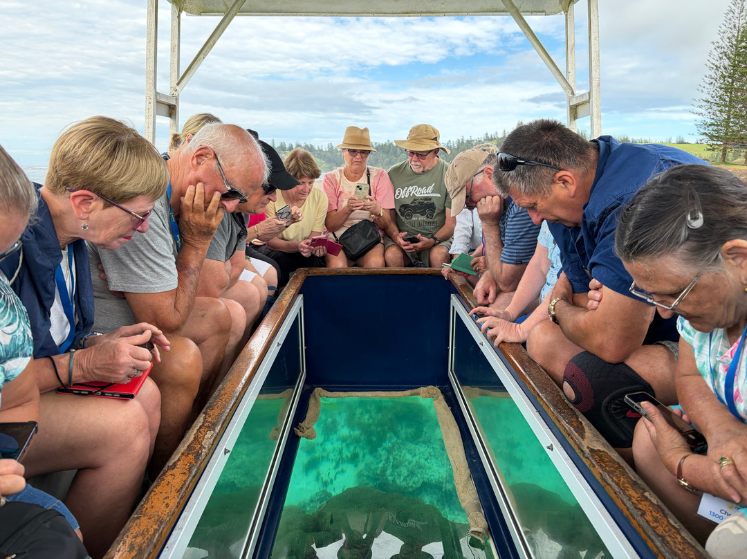 Great Value Holidays-凯恩斯必去景点