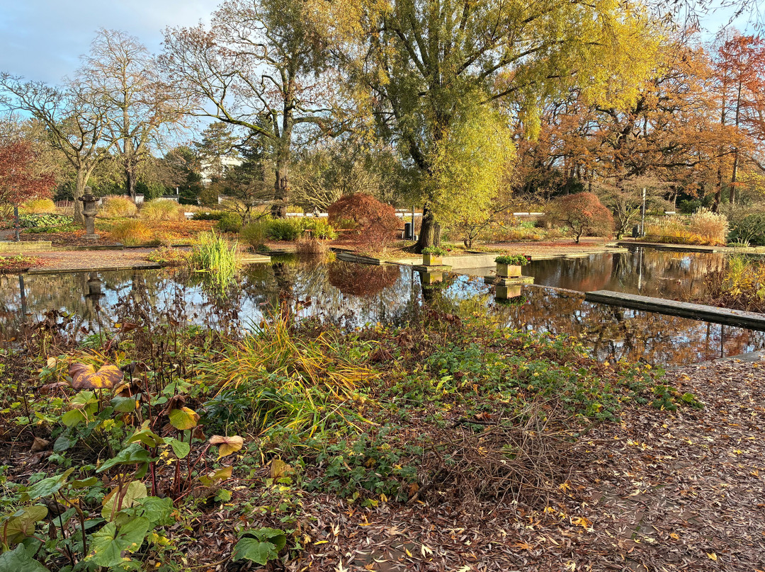 汉堡植物园-汉堡必去景点