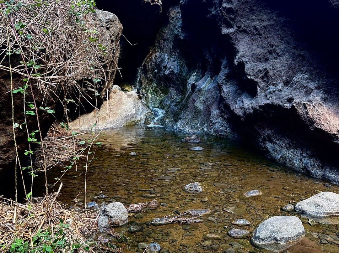 Canarias Nature Guides-Tegueste必去景点
