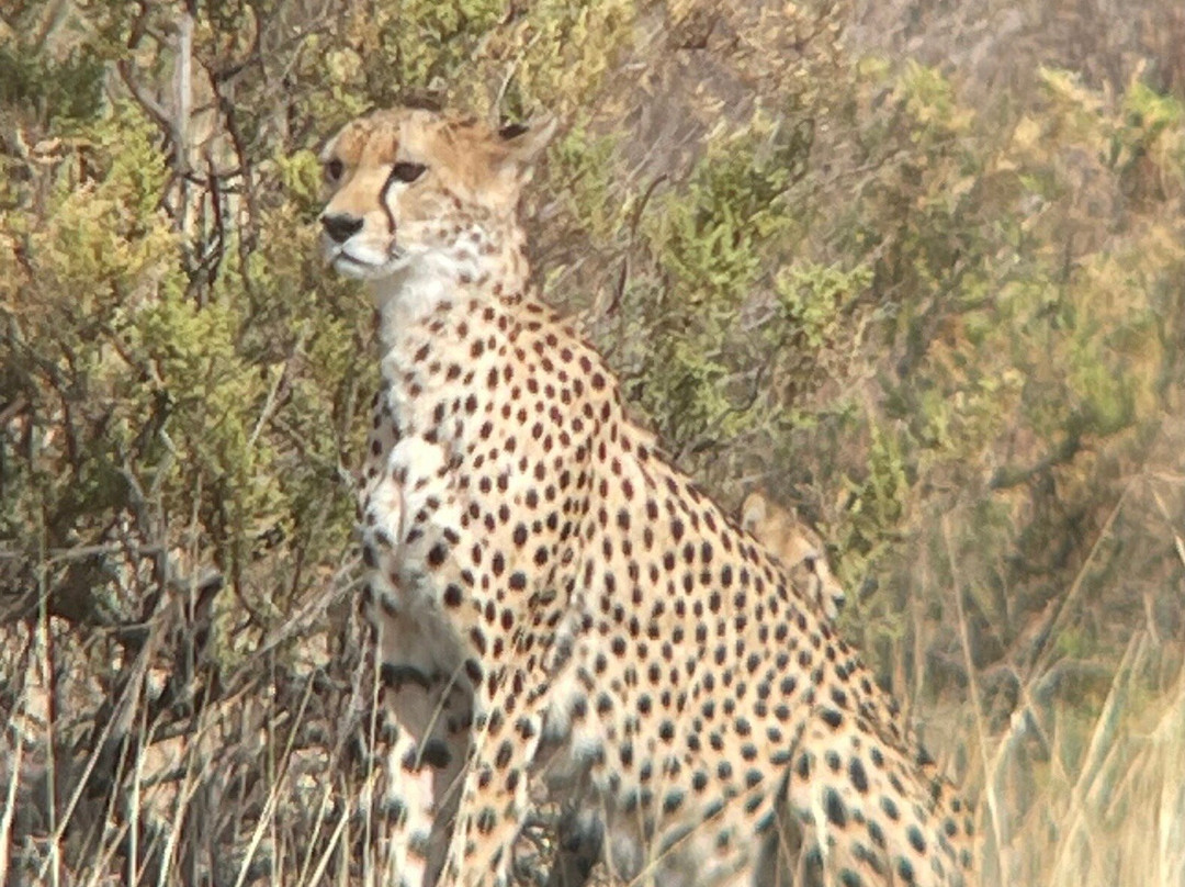 Aqua Paradise Safaris Day Tours-乌库达必去景点