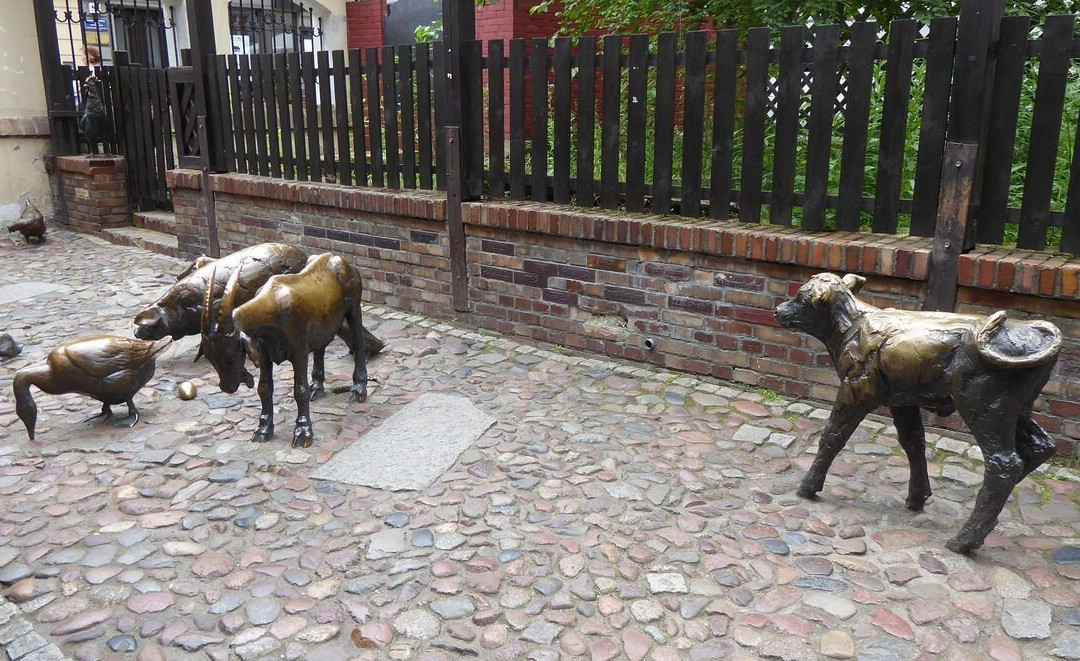 Jatki-弗罗茨瓦夫必去景点