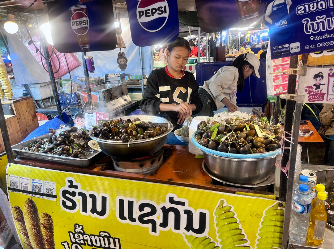 Vientiane Night Market-万象必去景点