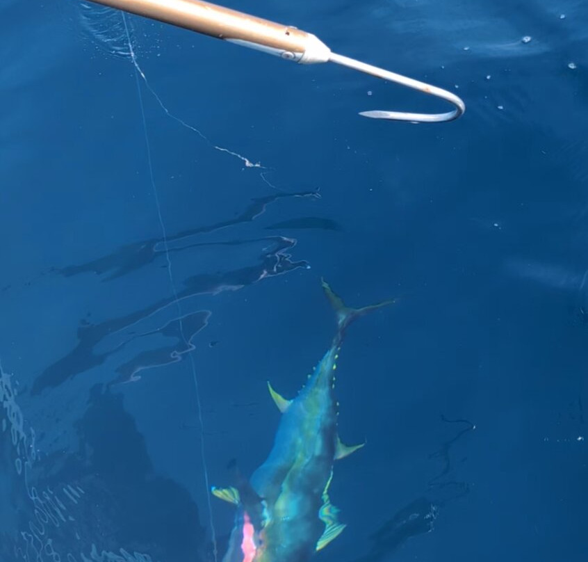 Cacho's Surf School-诺萨拉必去景点