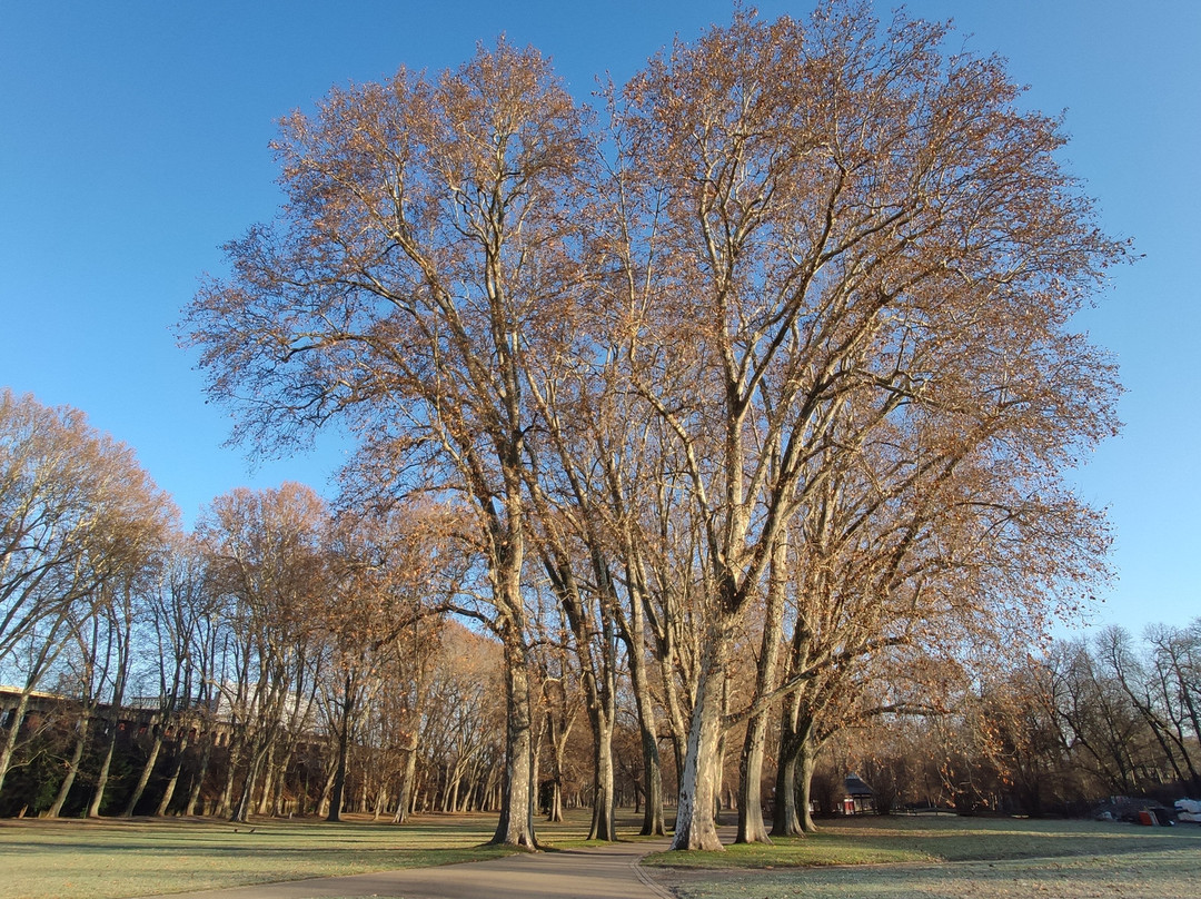 Schlossgarten-斯图加特必去景点
