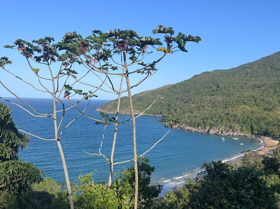 Jabaquara Beach-伊利亚贝拉必去景点