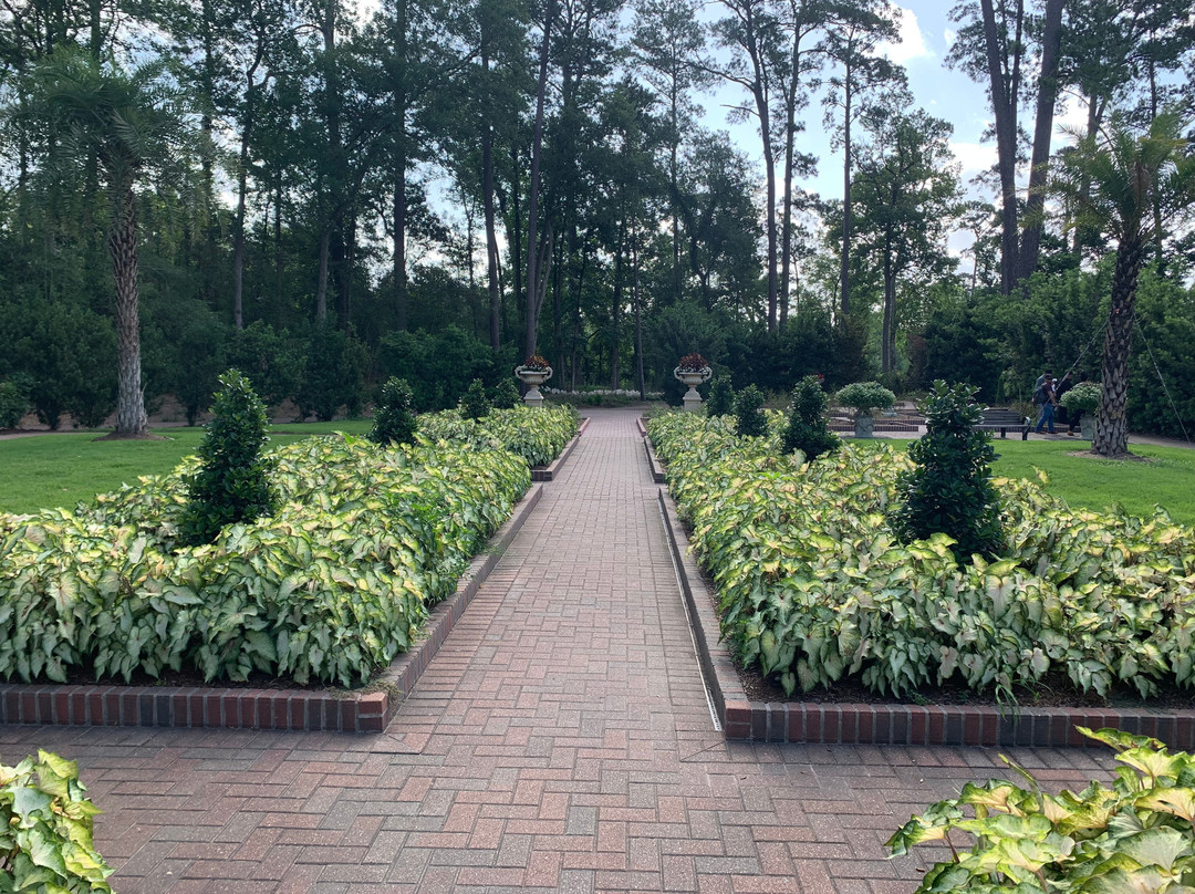 Mercer Botanic Gardens-汉布尔必去景点