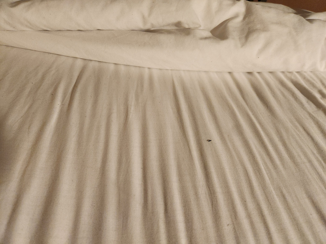 Hilton Garden Inn Olive Branch主图