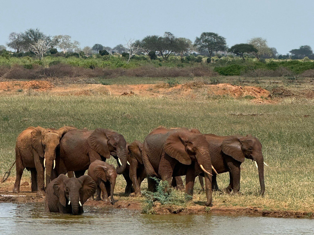 Discovery Kenya con Fragola-瓦塔木必去景点