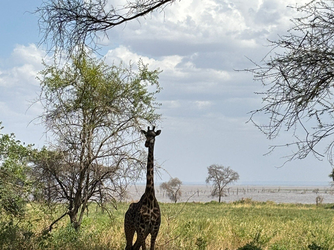 WildReality Safari-Dar es Salaam必去景点