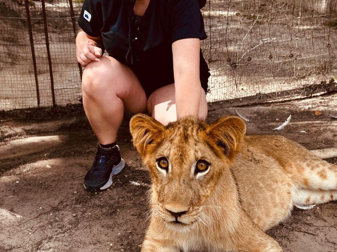 Fathala Wildlife Reserve-Dassilame Ba必去景点