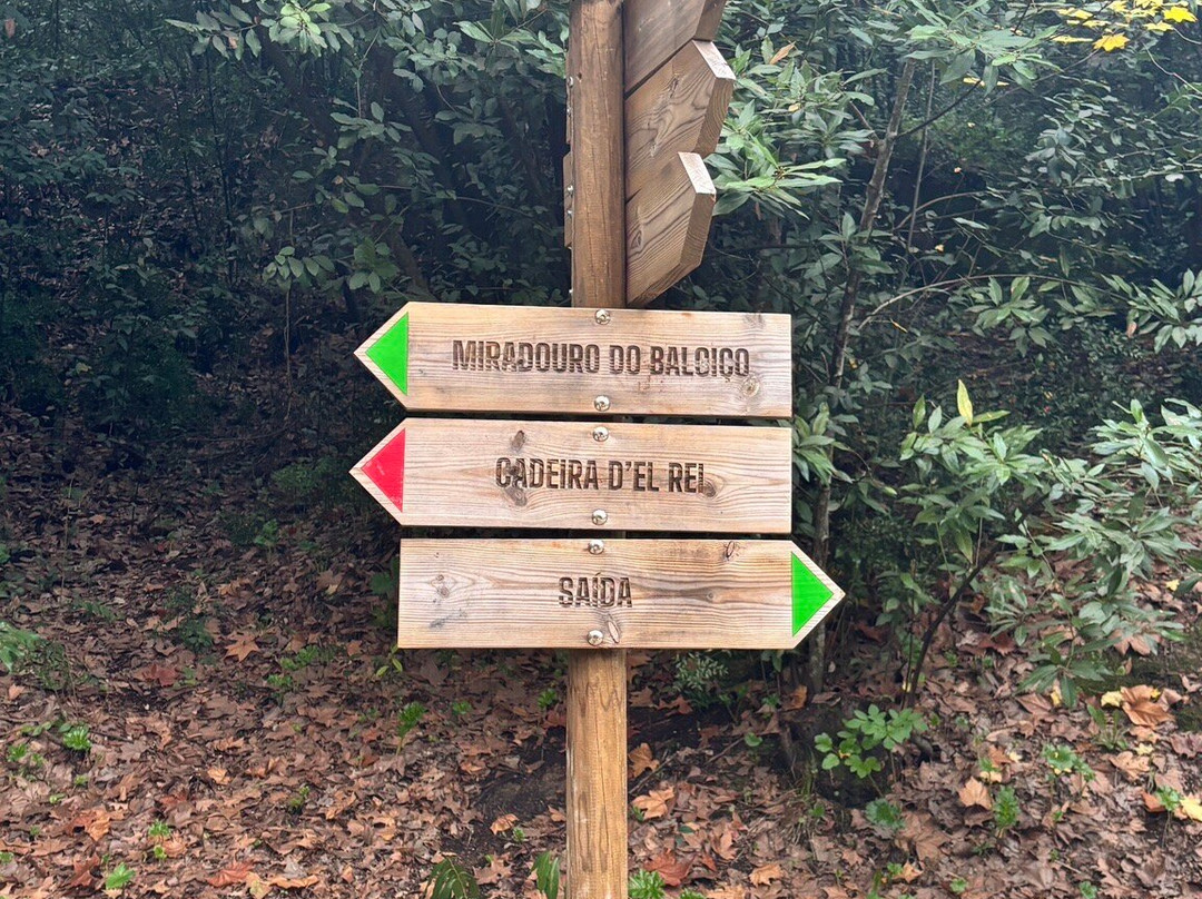 Mata Nacional dos Sete Montes-Tomar必去景点