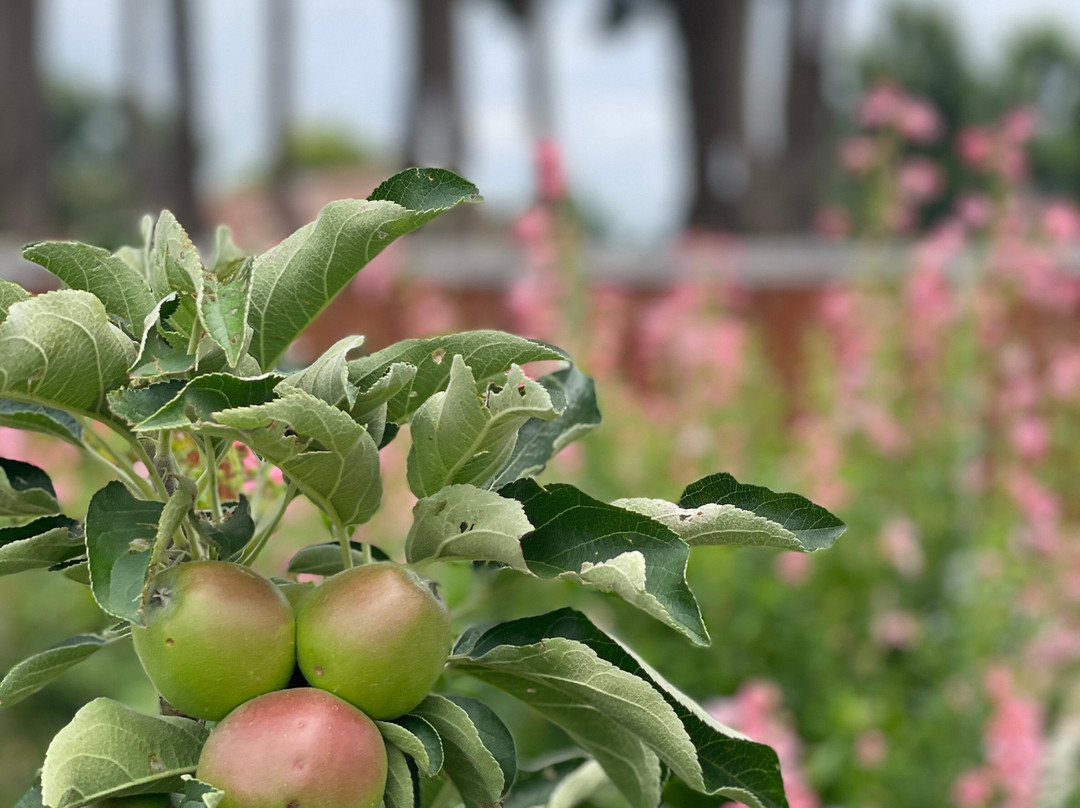 House of Wessex International-Glen Innes必去景点