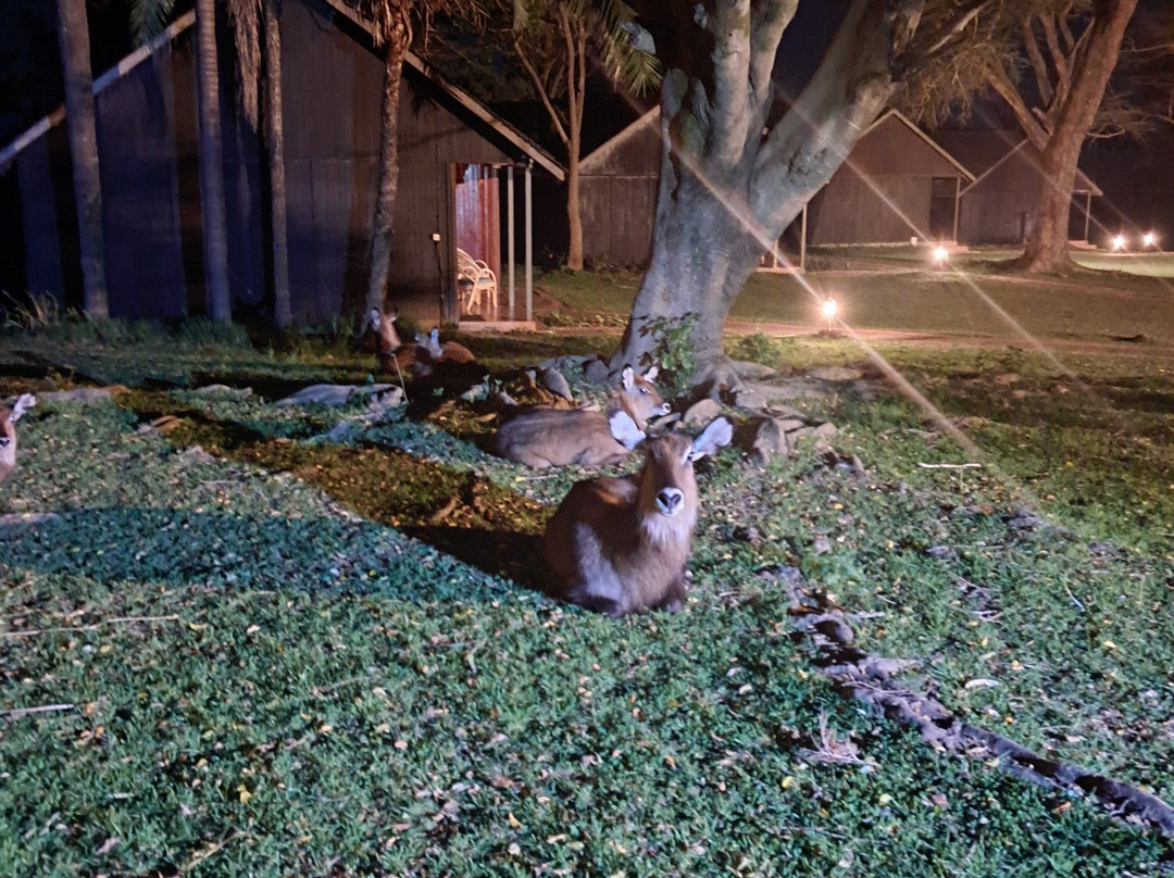 纳瓦沙湖乡村俱乐部主图