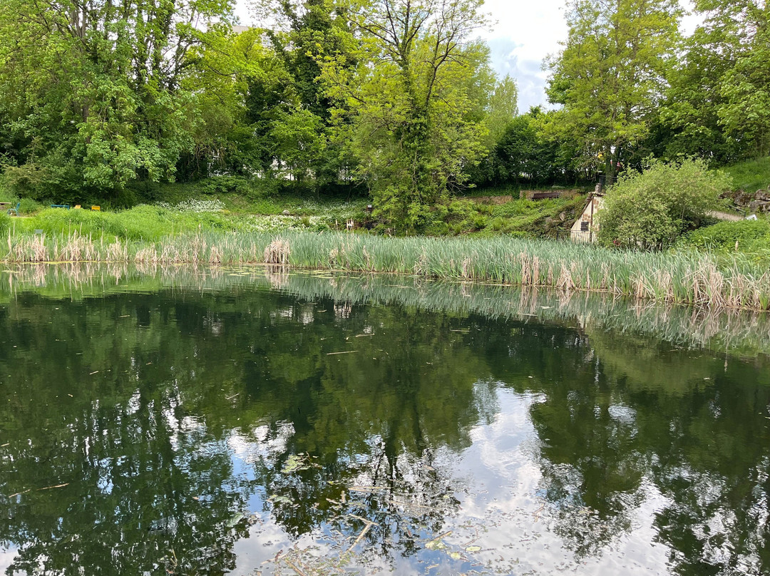 Jardin Botanique Jean-Marie Pelt-Villers-les-Nancy必去景点