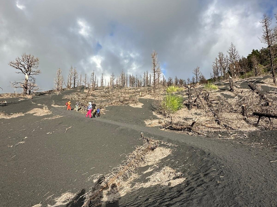 Graja Tours-巴尔玛圣库鲁斯必去景点