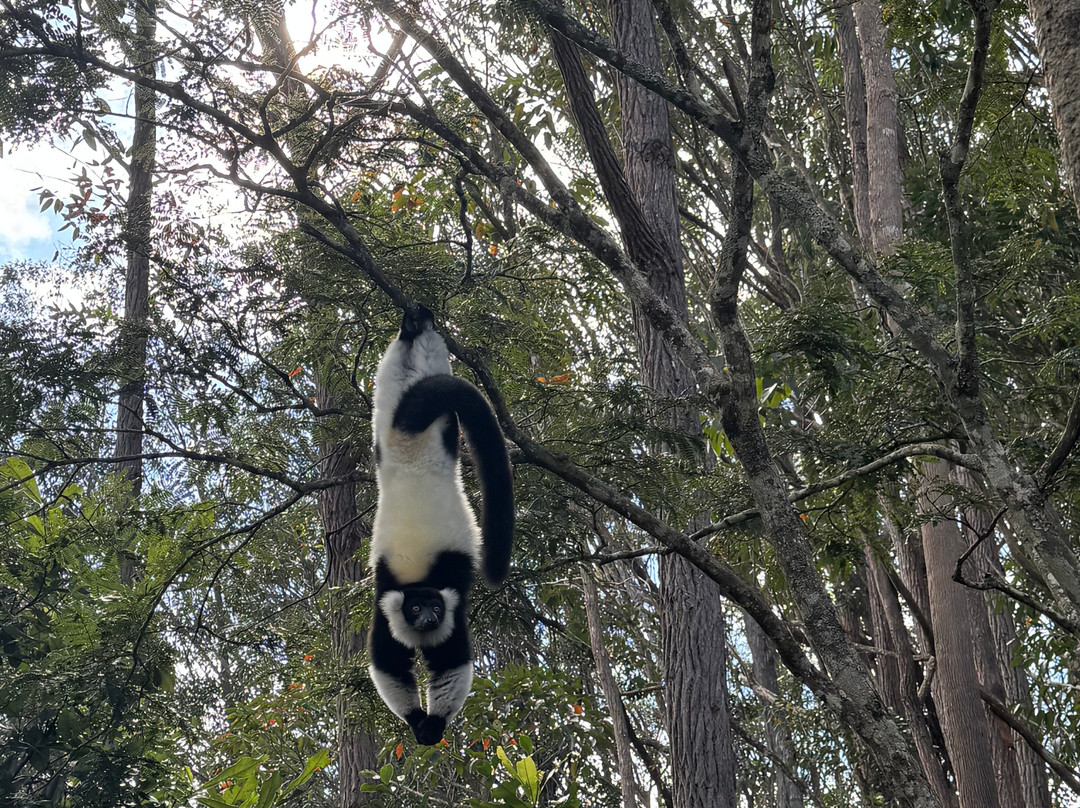 Viro Nomads Travel Co.-Ranomafana必去景点