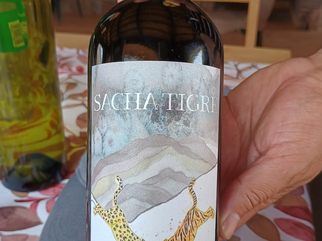 Bodega Kindgard-普尔马马尔卡必去景点