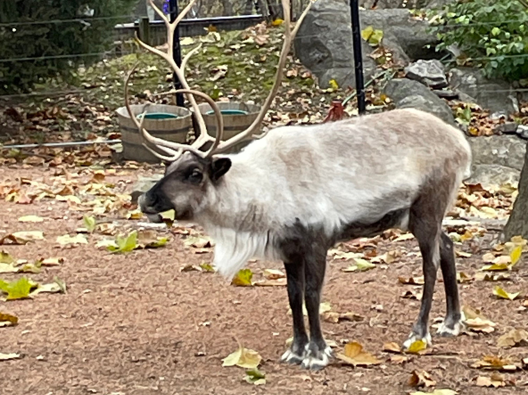 哥伦布动物园-Powell必去景点