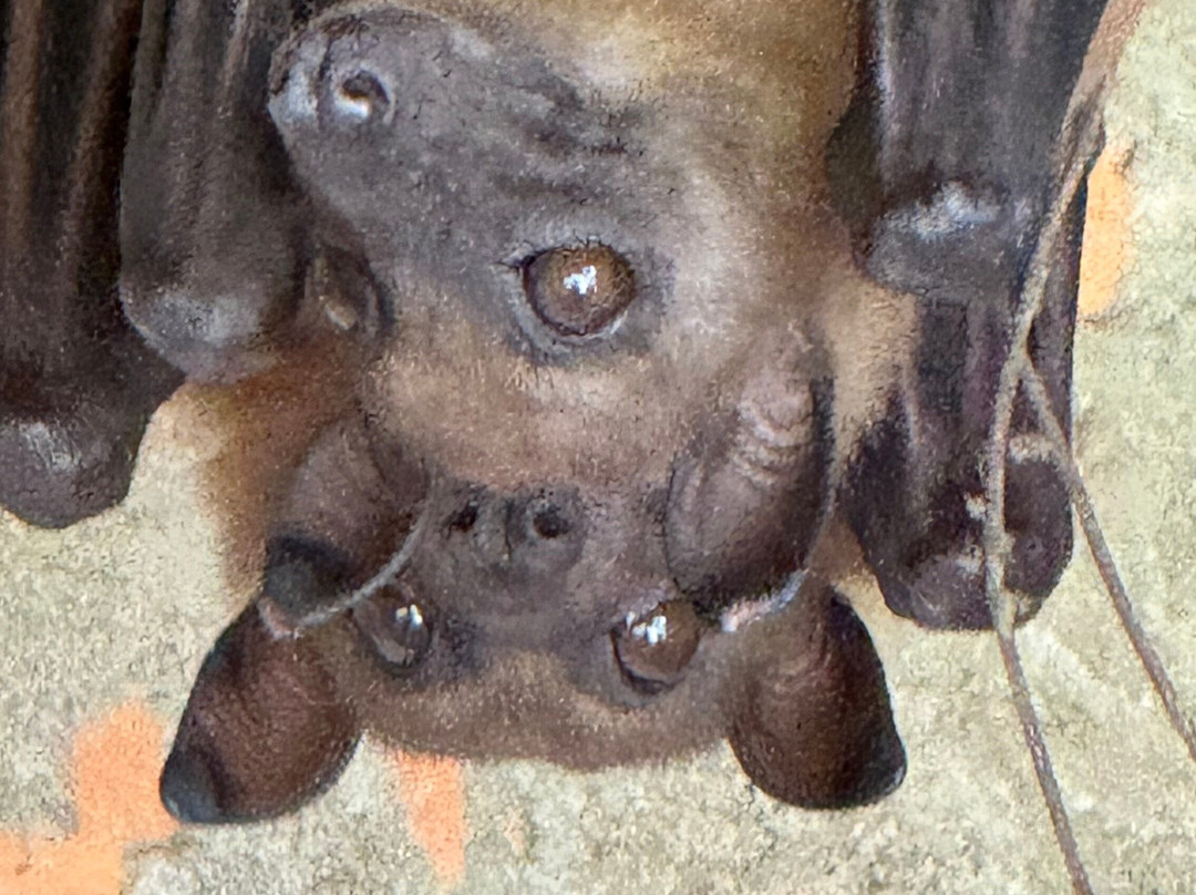 Madarako Tours-安塔那那利佛必去景点