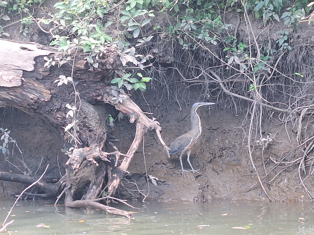 Sweet Costa Rica-塔马林多必去景点