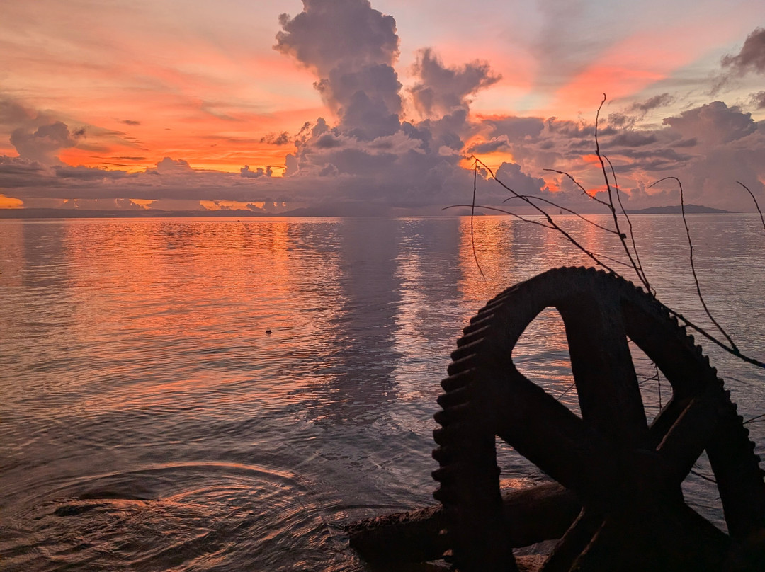 Tulagi Tours & Travel-Tulagi Island必去景点