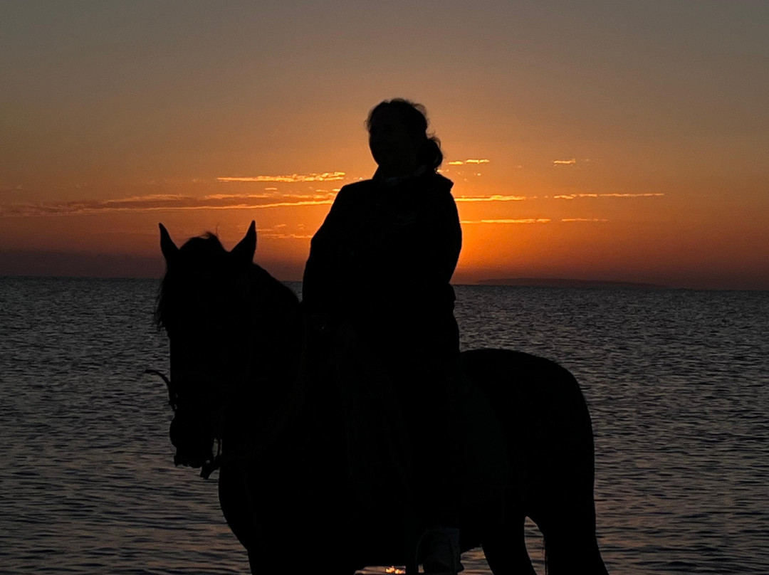 Yallahorse Stable-艾高娜必去景点