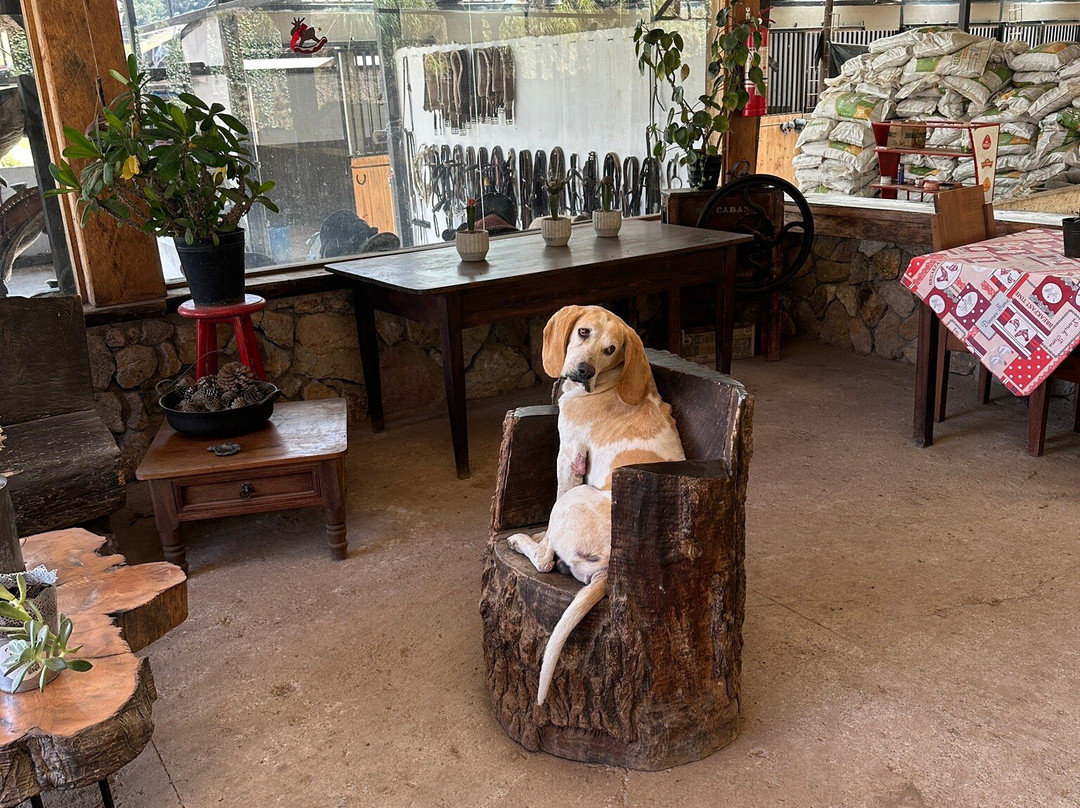 Centro Ecuestre Bellavista-昆卡必去景点