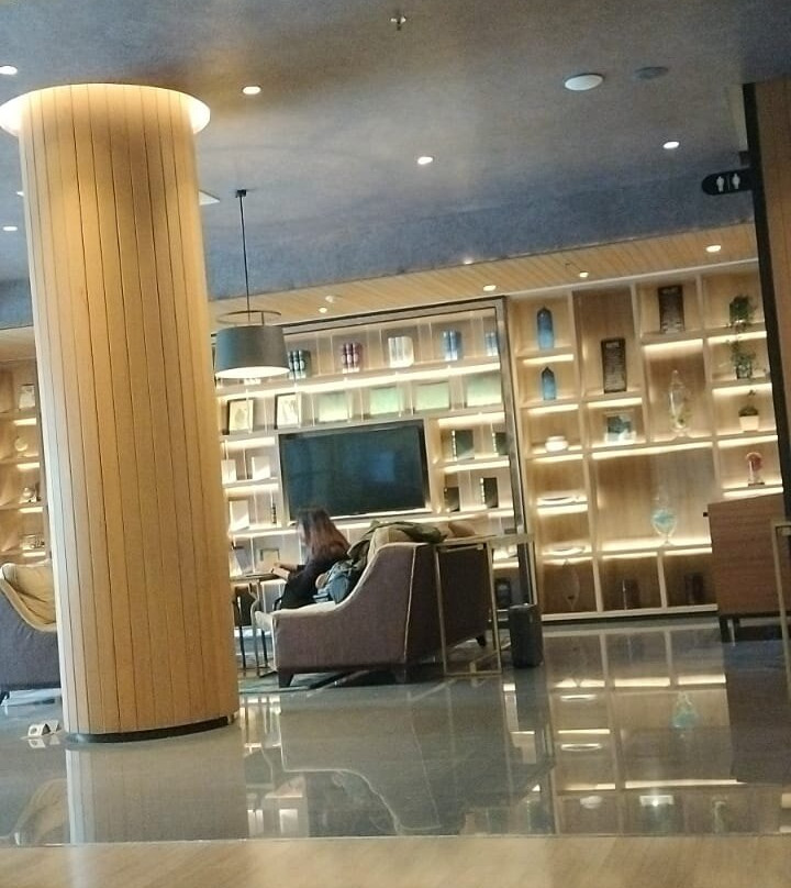 米拉大酒店主图