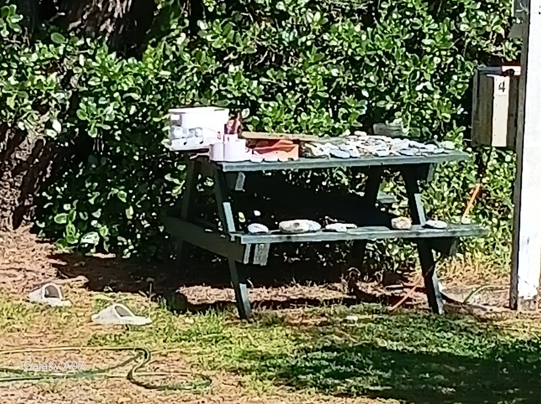 格雷茅斯奇伟度假公园及汽车旅馆主图