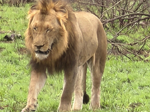 African Journey Safaris-霍德斯普鲁特必去景点