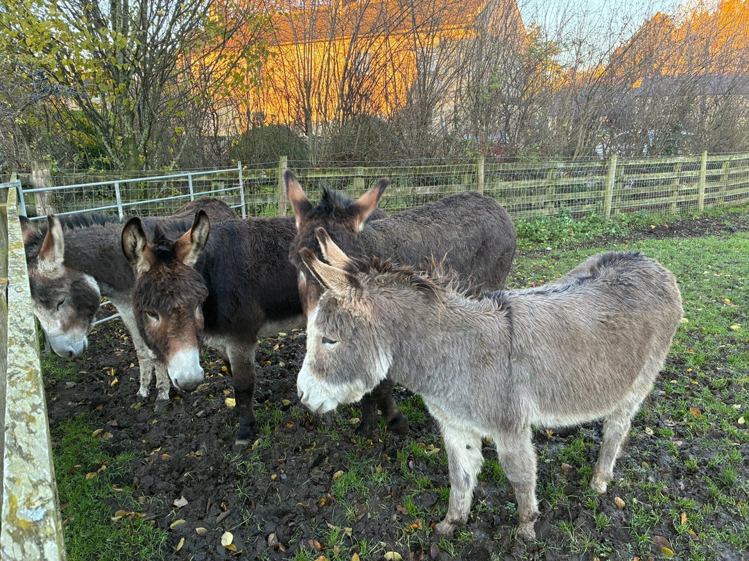 Holme Grange Farm主图