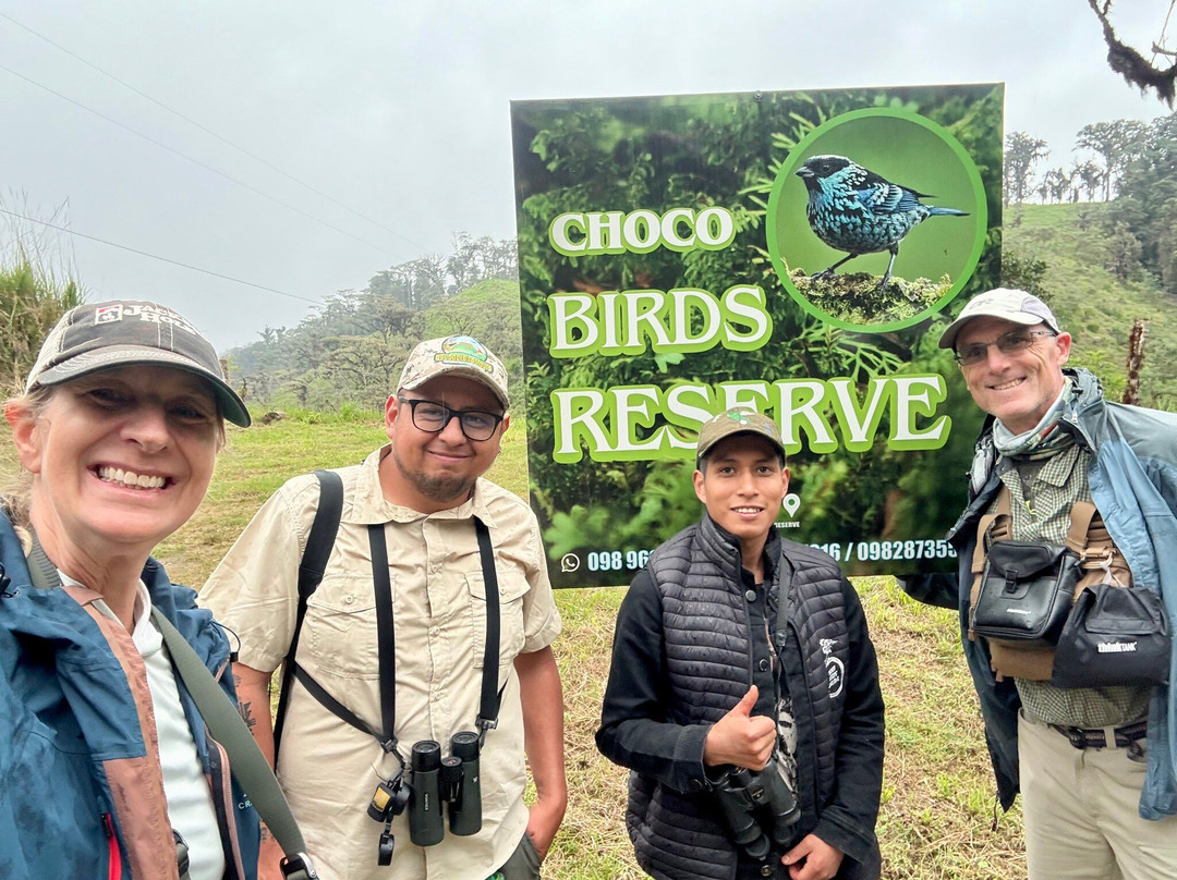 Ecuador Birds Tours-基多必去景点