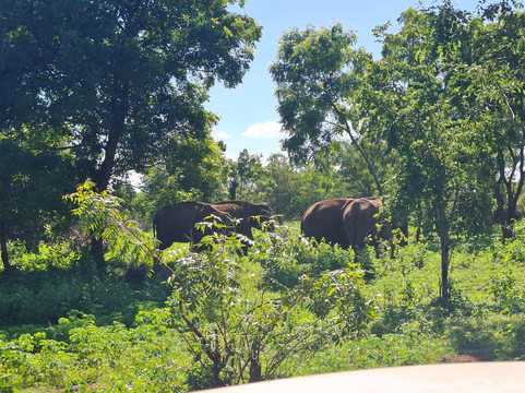 Nimtharu Tours-瓦勒迦玛必去景点