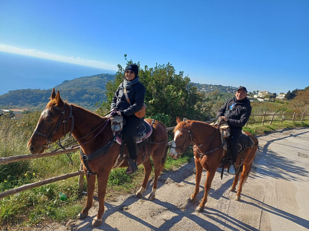 Horse Horizons (Orizzonti a cavallo)
