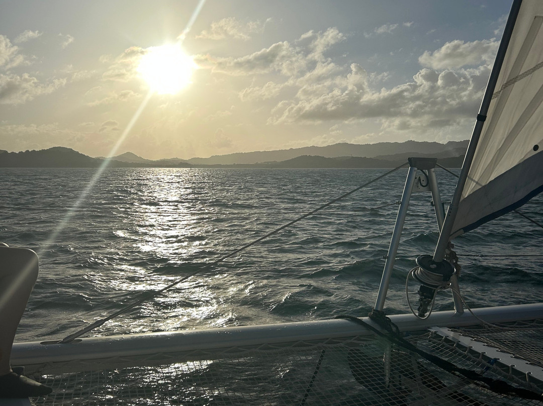 Les Ballades du Delphis-Le Francois必去景点