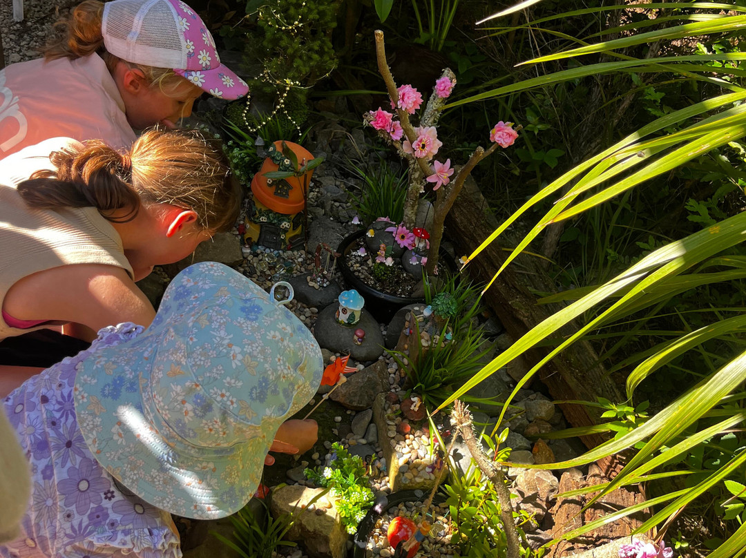 Awakeri Rail Adventures-法卡塔尼必去景点