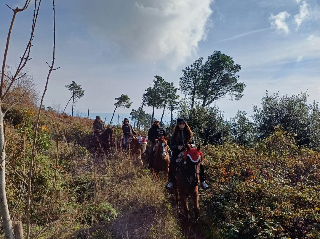 Horse Horizons (Orizzonti a cavallo)-马萨卢布伦塞必去景点