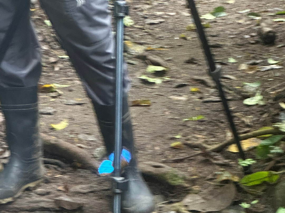 Carara National Park-卡拉拉必去景点