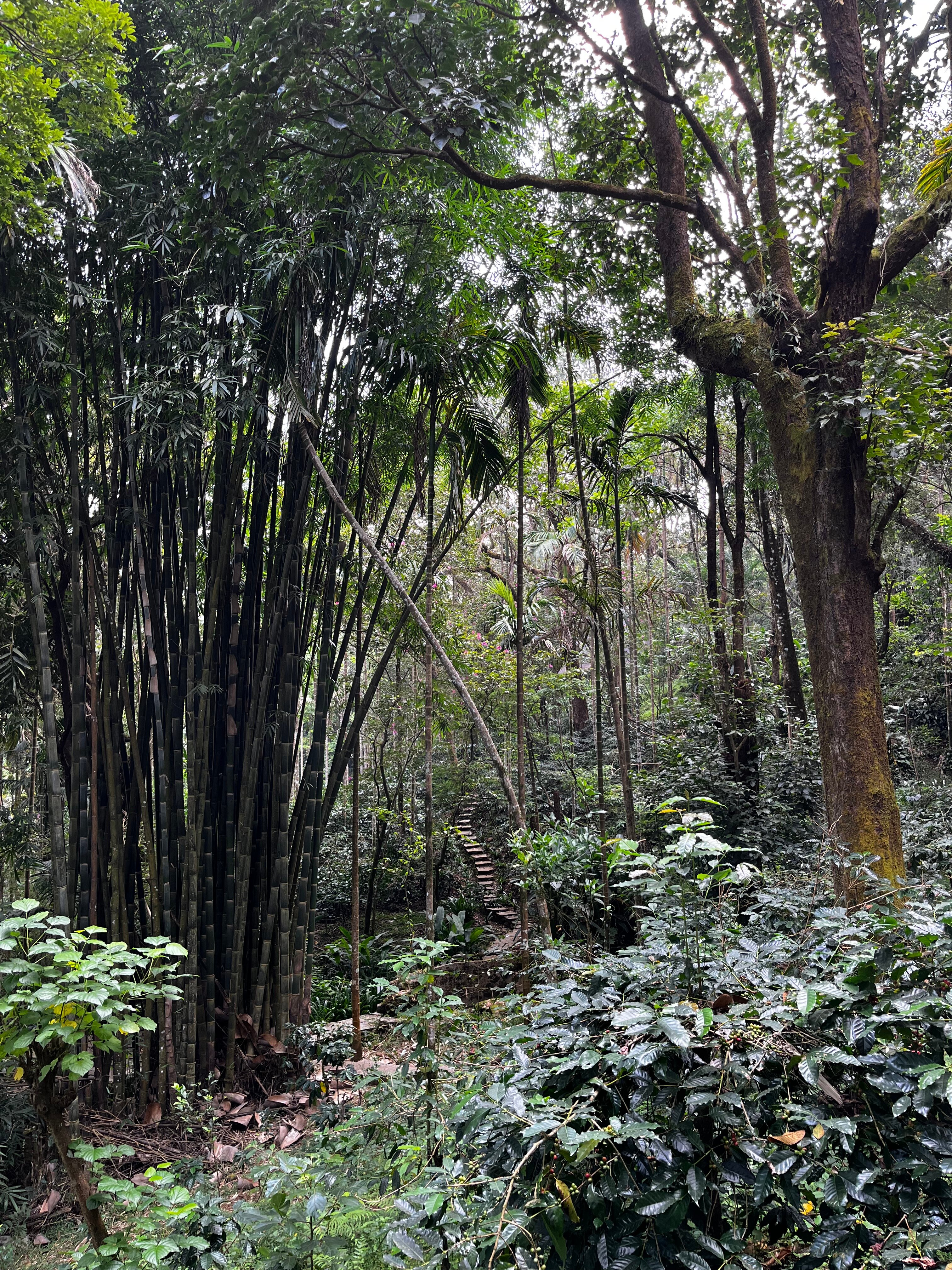 塔玛拉古尔格度假村-官方