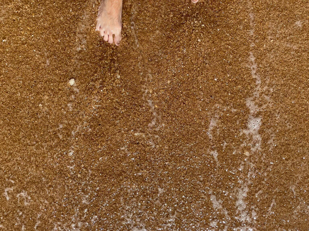 Praia da coelhinha-阿尔布赞拉必去景点