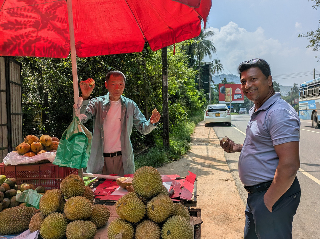 BH Lanka Tours-Kurunegala必去景点