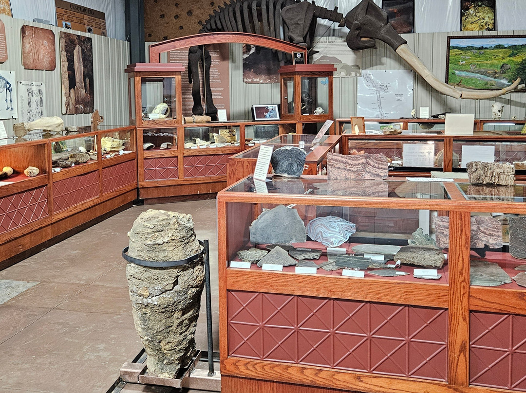 Missouri Institute of Natural Science-斯普林菲尔德必去景点