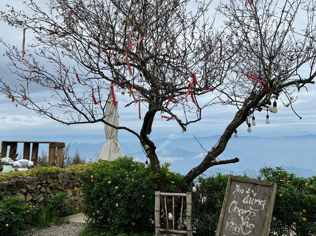 Ta Xua Peak-Son La必去景点