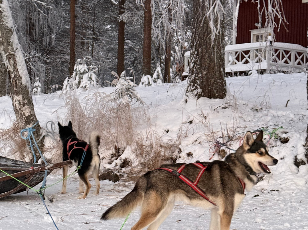 Husky & Yoga Nature-罗瓦涅米必去景点
