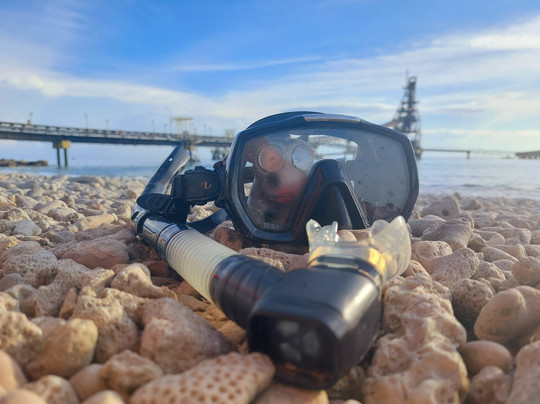 Wannadive Bonaire-Kralendijk必去景点