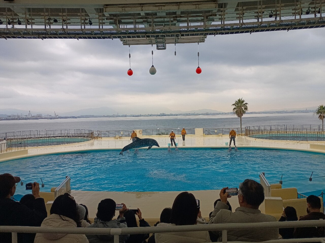 海中道海洋世界-福冈市必去景点