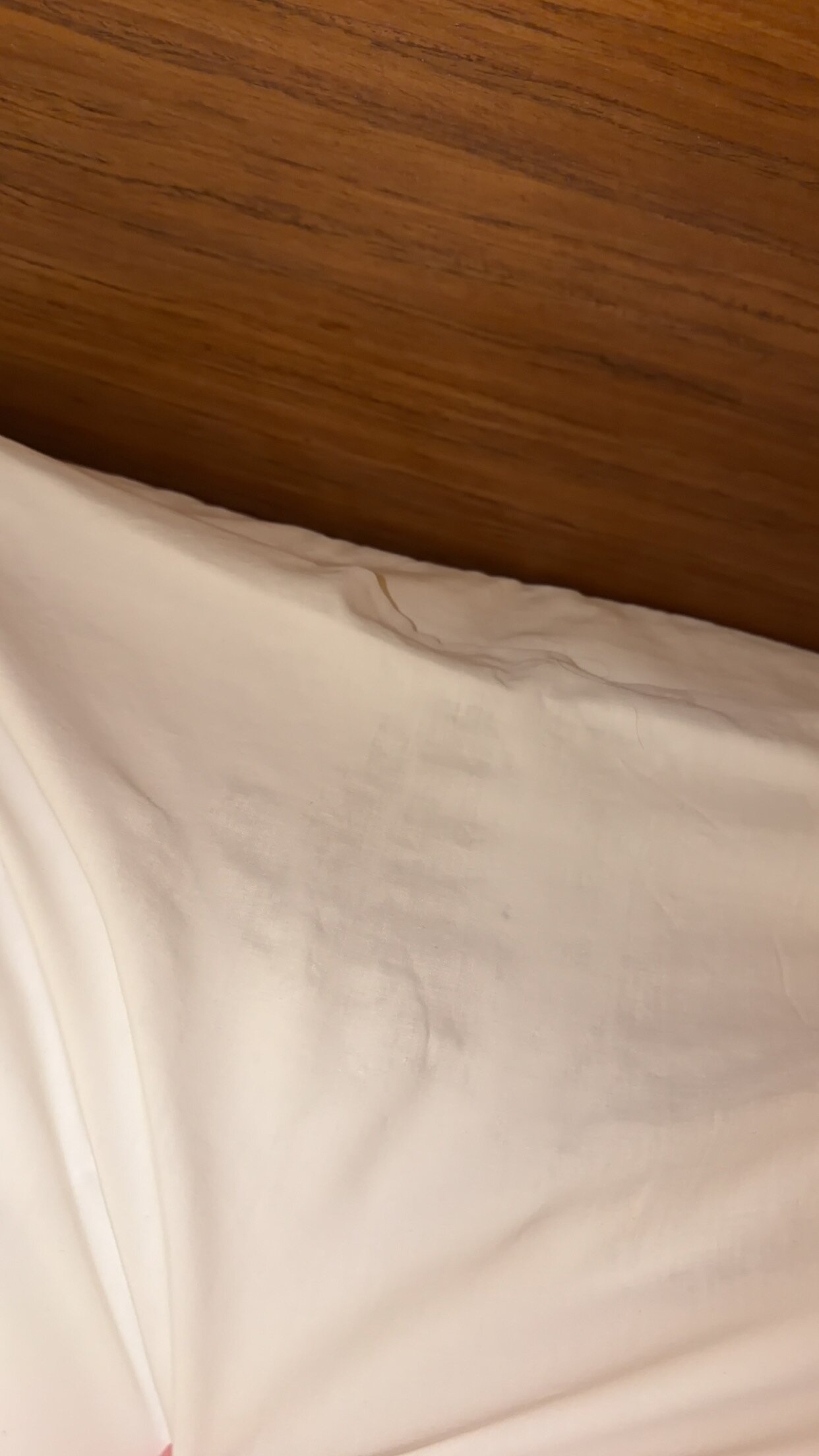 Fairfield Inn Manchester-Boston Regional Airport-客卧