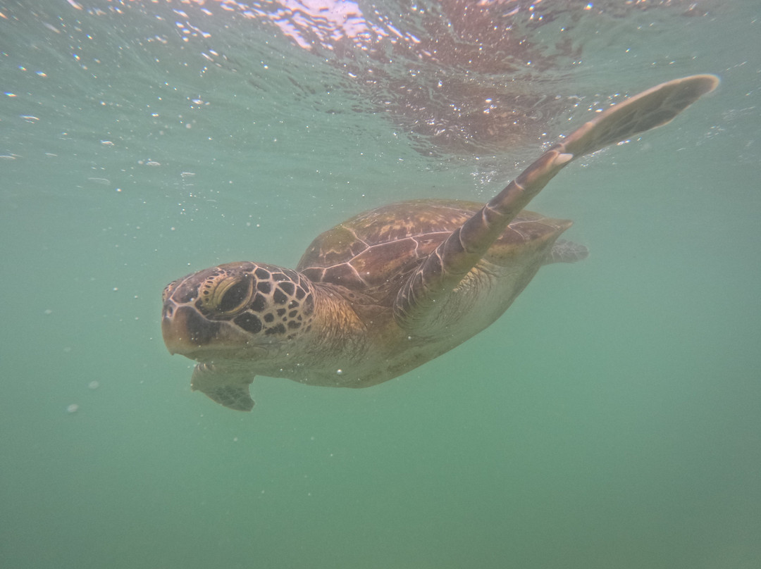 Sammy Reisen-班托塔必去景点